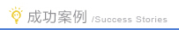 成功案例